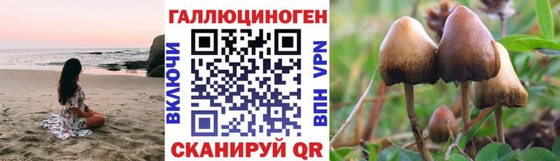 mega ссылки  Верхняя Пышма  Галлюциногенные грибы ЛСД  цены наркотик 